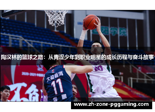 陶汉林的篮球之路：从青涩少年到职业明星的成长历程与奋斗故事